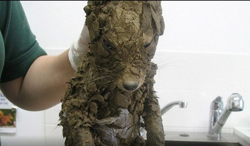 Onu bu halde buldular kimse ne olduğunu anlamadı - Resim: 1