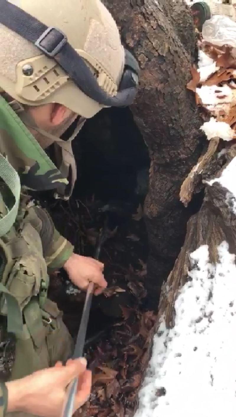 Siirt Eruh'ta ağaç kovuğundan cephanelik çıktı - Resim: 1