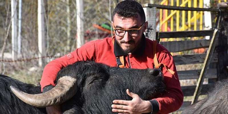 Mandalara yaptığı yöntemle daha kaliteli süt üretiyor - Resim: 1
