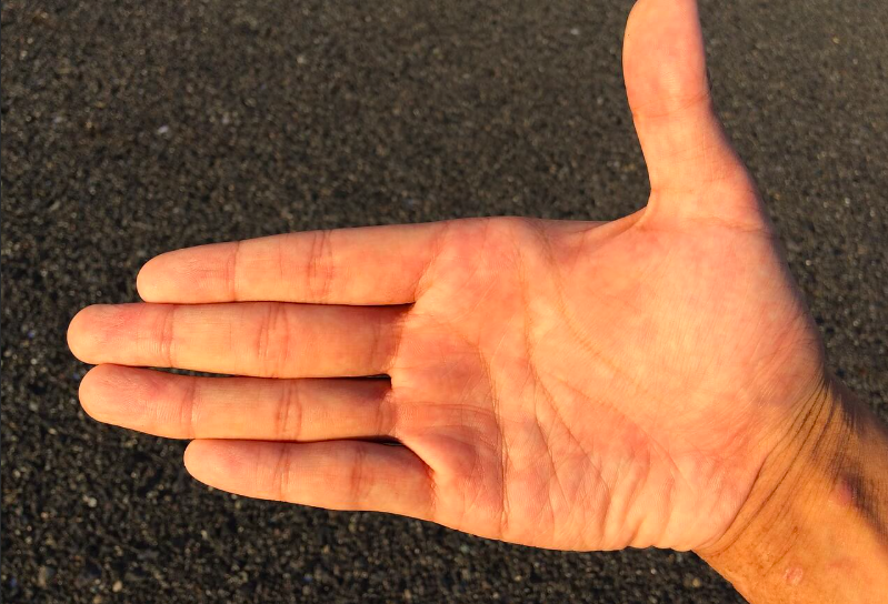 Bir gecede ortaya çıkıyor ölümcül olabiliyor! Şeytan kınası neyin habercisi? - Resim: 3