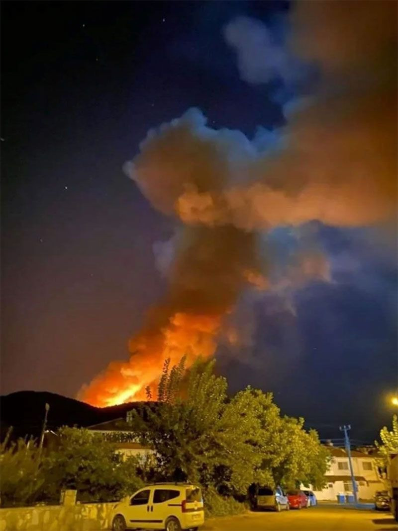 Muğla'da orman yangını çıktı! Yangın evleri tehdit etti uçaklar devreye girince... - Resim: 3