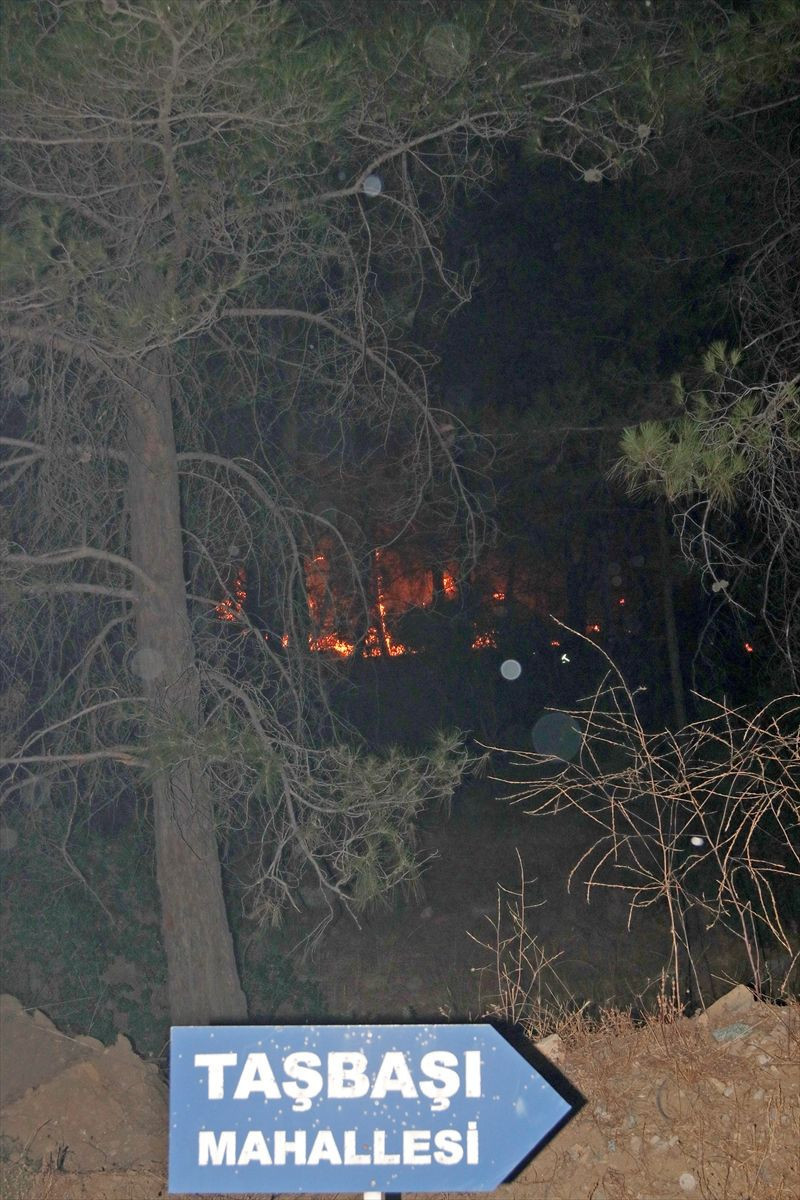 Muğla'da orman yangını 18 saat sonra kısmen kontrol altında - Resim: 1
