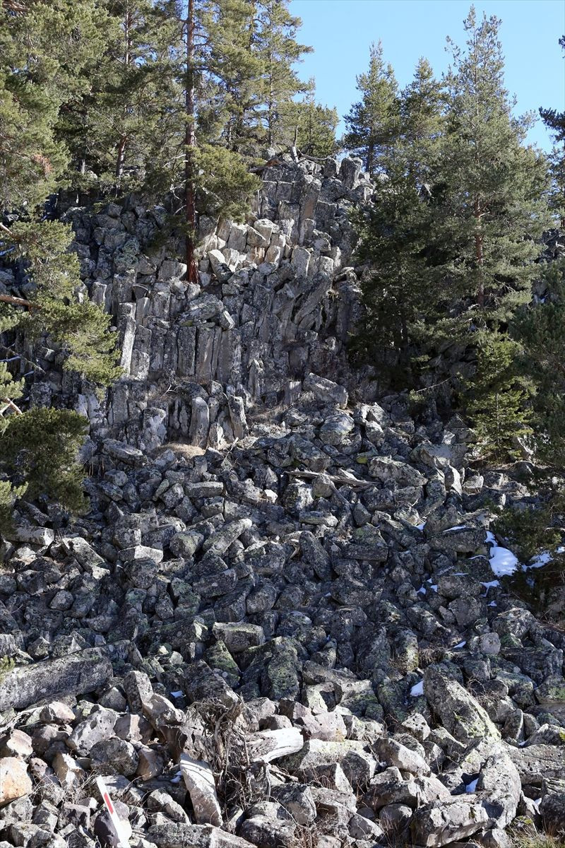 Bolu'da yeryüzüne çıktı 20 metreye yükseldi gören şaştı kaldı - Resim: 1
