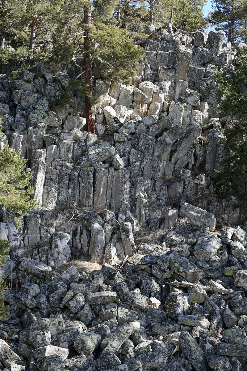 Bolu'da yeryüzüne çıktı 20 metreye yükseldi gören şaştı kaldı - Resim: 2
