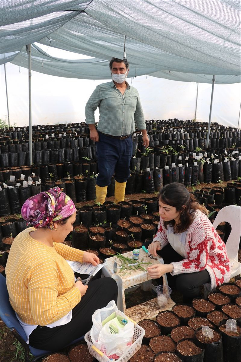 Öğrenci evinde tattı! Şirketi kapatıp Adana'da bu işe başladı kapasiteyi arttırdı - Resim: 1