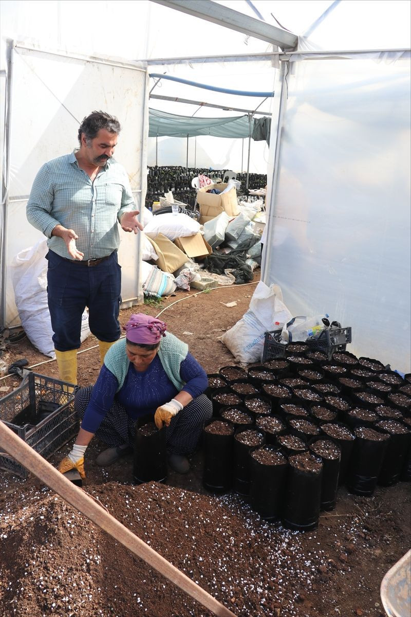 Öğrenci evinde tattı! Şirketi kapatıp Adana'da bu işe başladı kapasiteyi arttırdı - Resim: 2