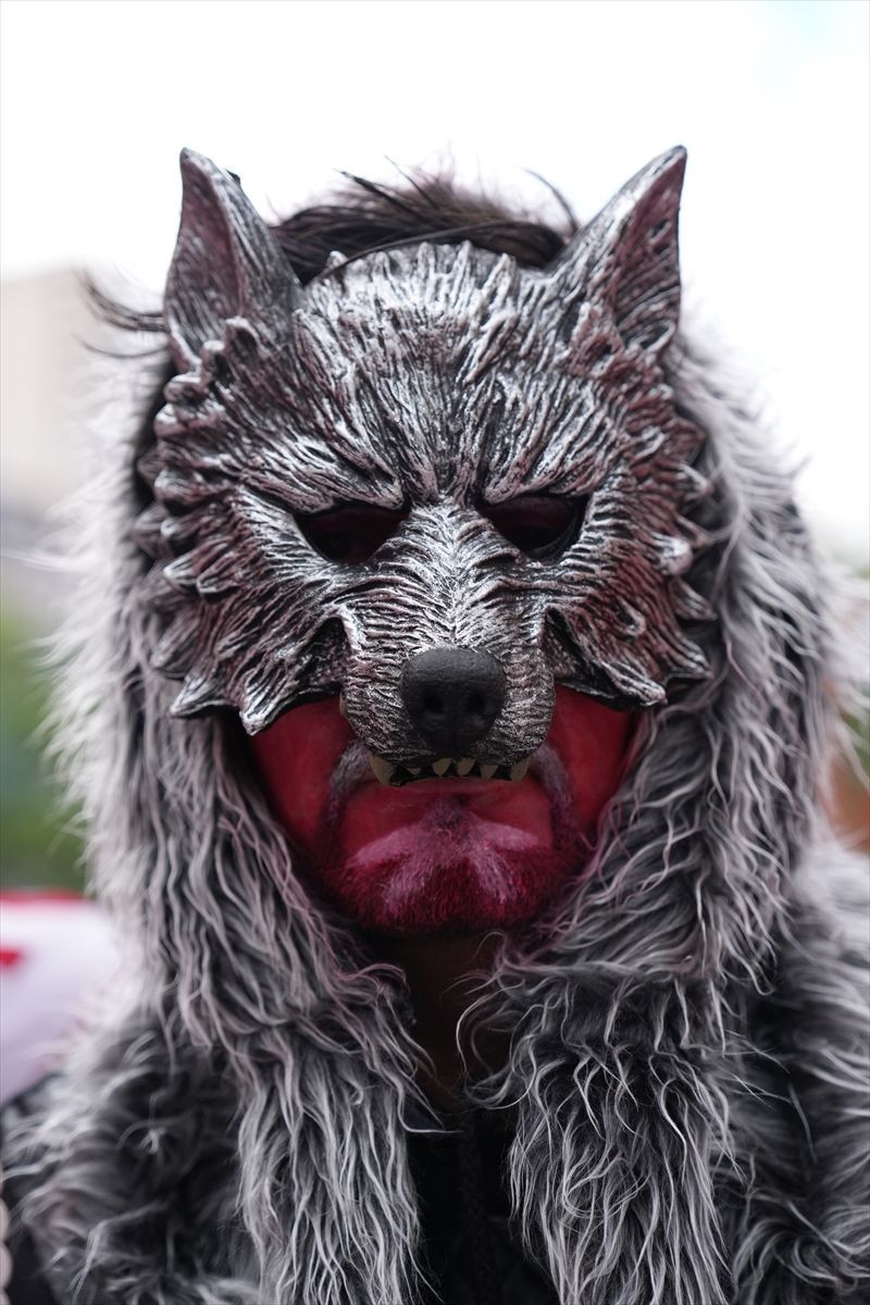 Euro 2024'te sadece bozkurt yoktu hangi ülke hangi hayanları sembol kullandı? - Resim: 2