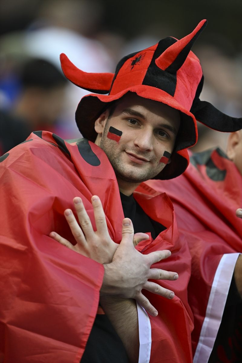 Euro 2024'te sadece bozkurt yoktu hangi ülke hangi hayanları sembol kullandı? - Resim: 5