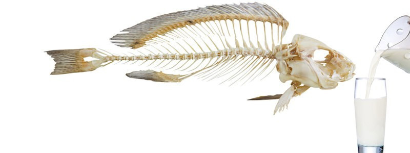 Balık yedikten sonra süt içmek öldürür mü? İşte o sorunun cevabı - Resim: 3