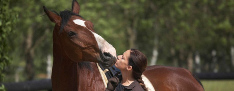 Karısı atı öptüğü için boşanan koca! Böylesi görülmedi - Resim: 4