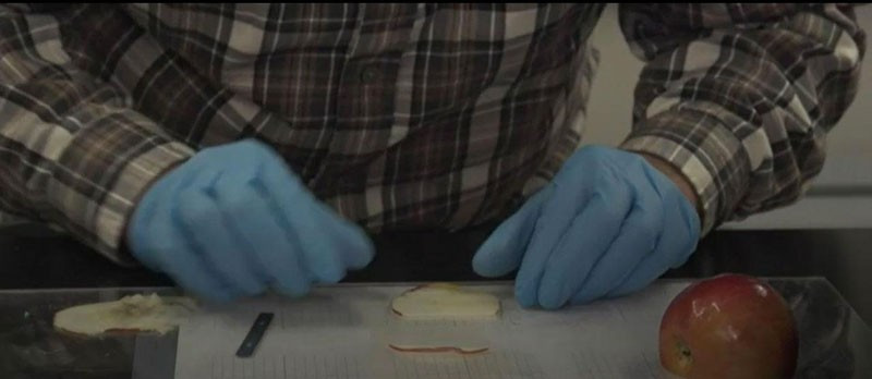 Bu kulağın neyden üretildiğini görünce şoke olacaksınız! - Resim: 4