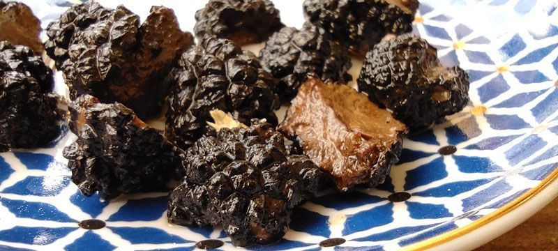 Almanya'dan Bursa'ya geldi uzman yetiştiriyor kilosu 4 bin avro - Resim: 2