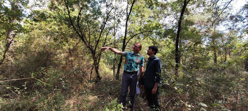 Almanya'dan Bursa'ya geldi uzman yetiştiriyor kilosu 4 bin avro - Resim: 4