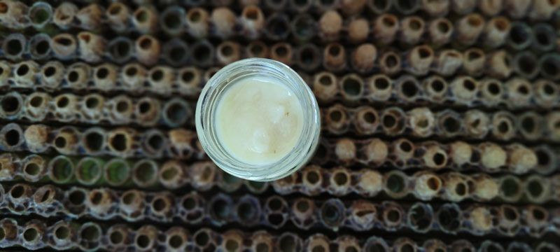 Kilosu 10 bin liradan satılıyor! Hasat başladı hücre yeniliyor, çok sayıda faydası var - Resim: 2