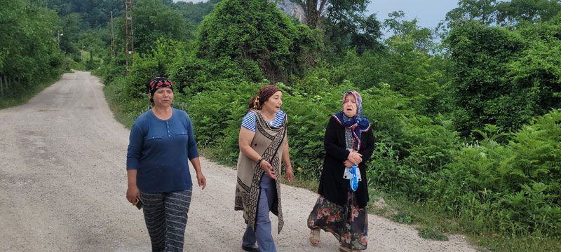 Kastamonu'da bir mahalle korku içinde evlerinden bile çıkamıyorlar ağaçta gördü sesi kısıldı - Resim: 4