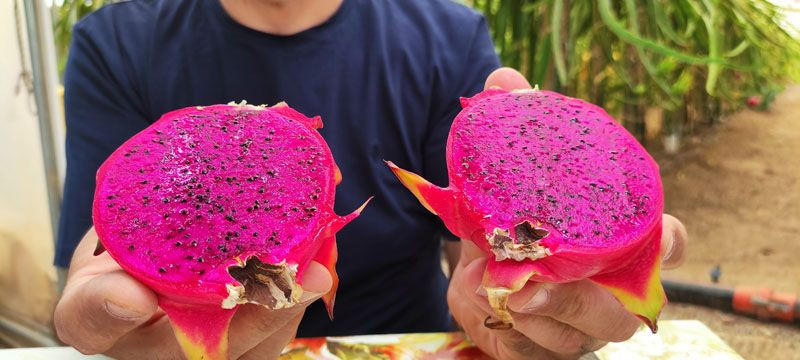 Paranı çöpe atma dediler dinlemedi ekti masrafı yok şimdi para basıyor - Resim: 4