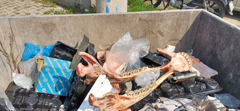Düzce'de çöp konteynırında bulunan etinden sıyrılmış kemiklerin sırrı çözüldü - Resim: 4