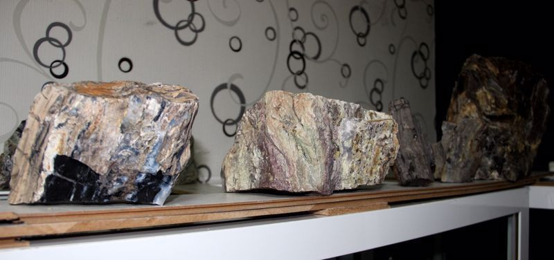 Erzurum'da yapılan çalışmalarda ortaya çıktı! Türkiye’nin en yaşlısı bulundu - Resim: 2