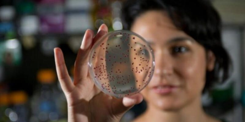 NASA’nın yıldızı oldu! Betül Kaçar 4 milyar yaşındaki bakteriyi canlandırdı Prof. Dr. Betül Kaçar kimdir? - Resim: 1