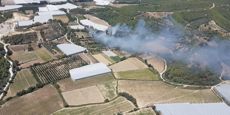 Yangın bölgelerinde çiftçinin zararı çok büyük! Çiftçinin zararını kim karşılayacak? - Resim: 1