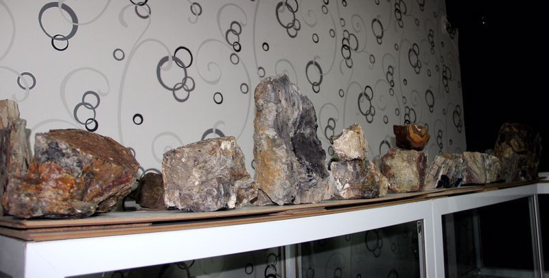 Erzurum'da yapılan çalışmalarda ortaya çıktı! Türkiye’nin en yaşlısı bulundu - Resim: 1