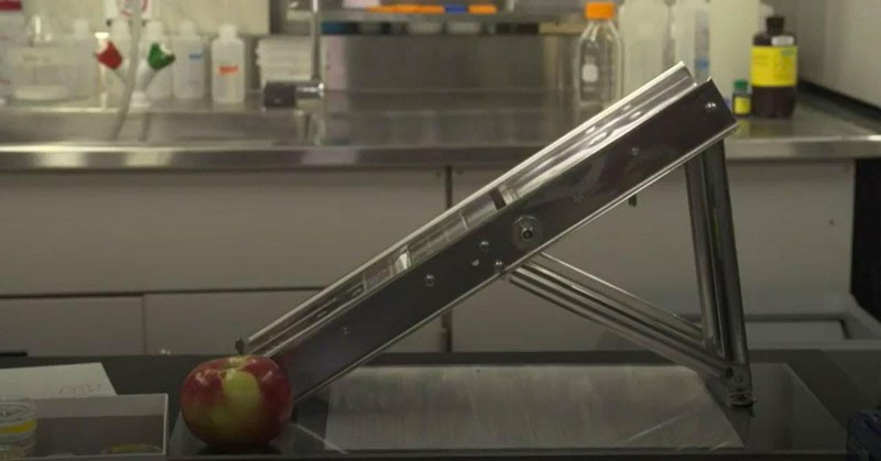 Bu kulağın neyden üretildiğini görünce şoke olacaksınız! - Resim: 2