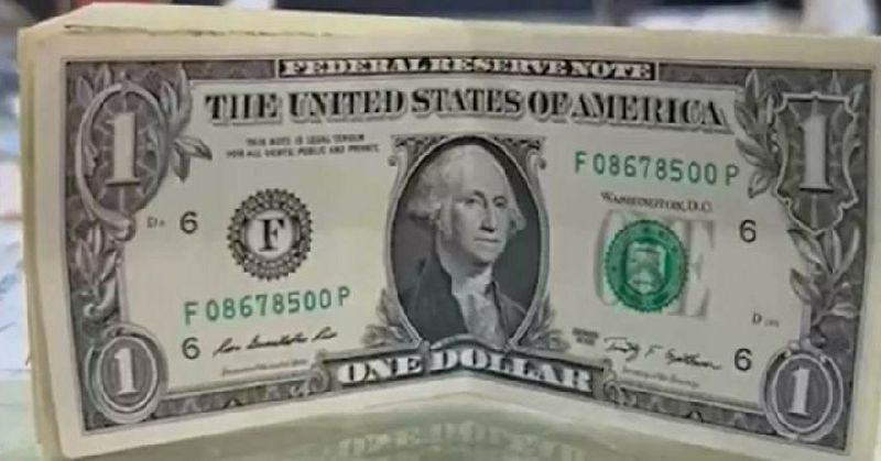 Bartın'da FETÖ şüphelilerinin kullandığı gıda deposu tespit edildi - Resim: 1