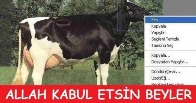 En komik kurban bayramı capsleri krize gireceksiniz - Resim: 2