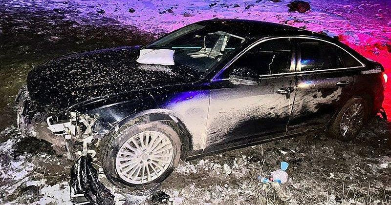 HDP Grup Başkanvekili Meral Danış Beştaş şarampole uçtu! Beli kırıldı, Ankara'ya sevk edildi - Resim: 2