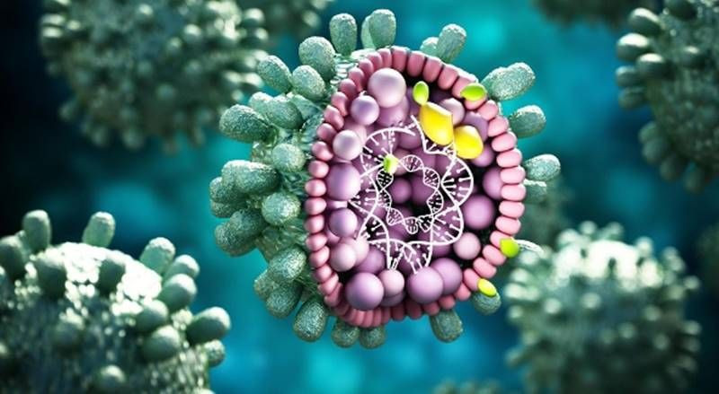 Gizemli Hepatit hastalığı belirtileri neler ilk çocuk ölümü gerçekleşti DSÖ alarma geçti - Resim: 2