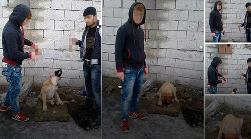 "Savaş vereceğim onlara kulak nasıl kesilir göstereceğim” - Resim: 2