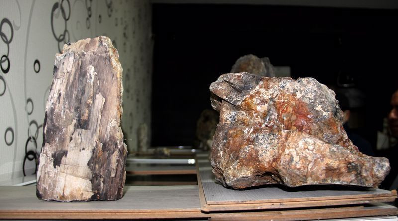 Erzurum'da yapılan çalışmalarda ortaya çıktı! Türkiye’nin en yaşlısı bulundu - Resim: 3