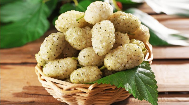 Dutun mucizevi faydaları! Birçok hastalıktan koruyor! - Resim: 4