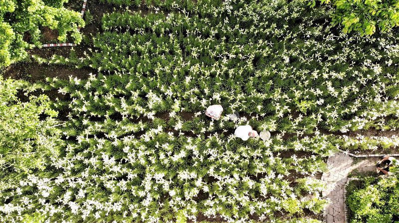 Hobi olarak başladı emekli maaşını 5'e katladı! Tokat'ta üretti fiyatını duyan inanamadı - Resim: 3