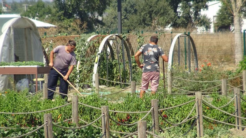 Bursa'da görenleri şaşırtan kütüphane! Burada kitap yok bakın ne var - Resim: 3