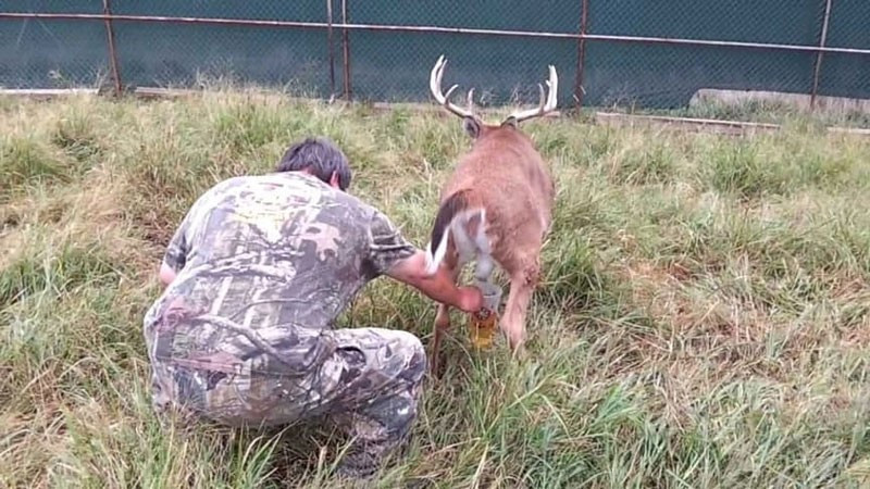İşte dünyanın en ilginç meslekleri! - Resim: 3