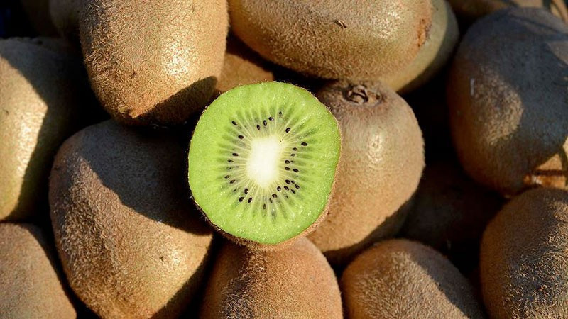 Tam kış meyvesi günde 2 adet yerseniz - Resim: 1