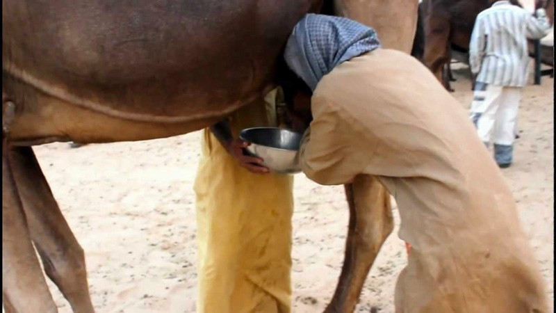 İşte yeni şifa kaynağı Kim Kardashian bile paylaştı - Resim: 4