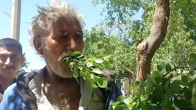 25 yıldır hiç hastalanmadı sadece onu yiyor! - Resim: 2