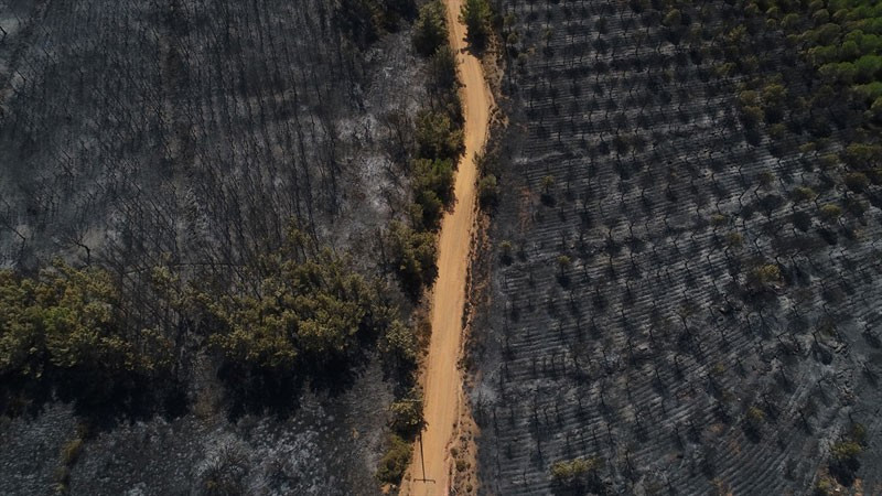 Son hali kahretti herkes şokta - Resim: 1
