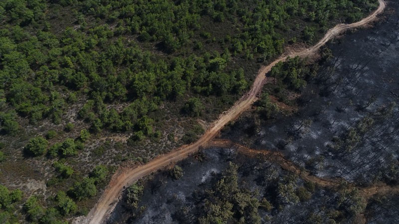 Son hali kahretti herkes şokta - Resim: 2