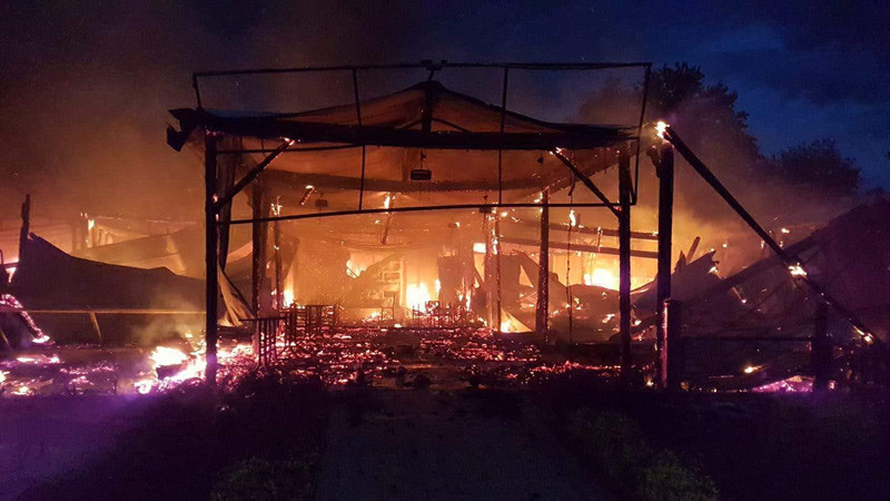 Sapanca'da 10 kafeterya alev alev yandı - Resim: 1