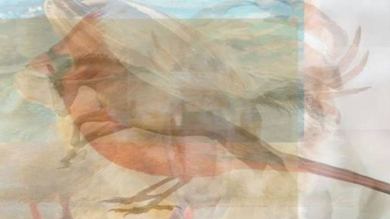 Resimde gördüğünüz ilk hayvan kişiliğinizi ortaya çıkarıyor - Resim: 1