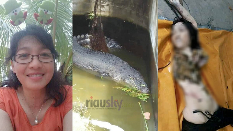 Dev timsah kadının yarısını yedi sudaki cismi görenler dehşete düştü - Resim: 4