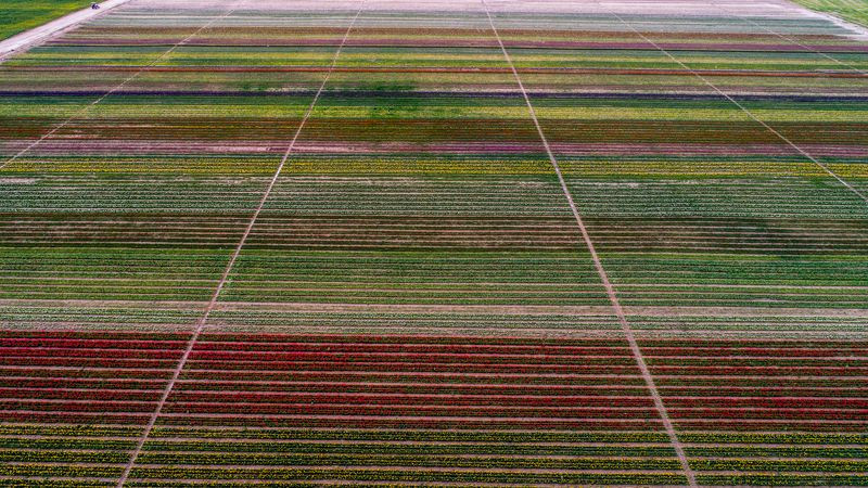 Konya Ovası'nda turistler fotoğraf için sıraya giriyor - Resim: 4