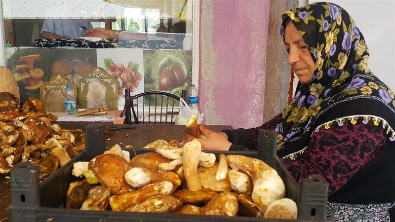 Ayda 40 bin lira kazanıyorlar! Yurtdışına satıyorlar - Resim: 1