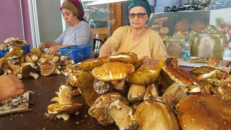 Ayda 40 bin lira kazanıyorlar! Yurtdışına satıyorlar - Resim: 2