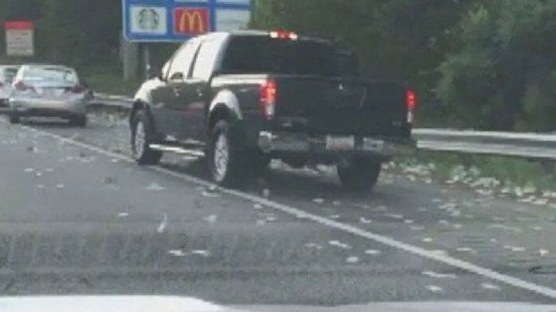 ABD'de zırhlı araçtan otobana 175 bin dolar saçıldı - Resim: 3