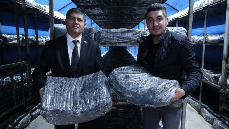 Ayda 3 bin 500 lira geliri var! Evin bodrum katında bile yapılabiliyor - Resim: 4