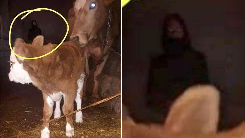 Ardahan'da çekilen esrarengiz görüntü sosyal medyada gündem oldu - Resim: 1